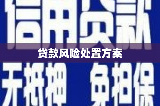 北屯贷款风险处置方案
