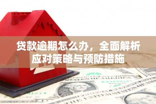 北屯贷款逾期怎么办，全面解析应对策略与预防措施