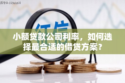 北屯小额贷款公司利率，如何选择最合适的借贷方案？
