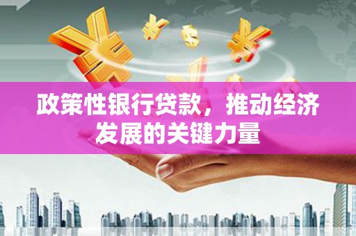 北屯政策性银行贷款，推动经济发展的关键力量