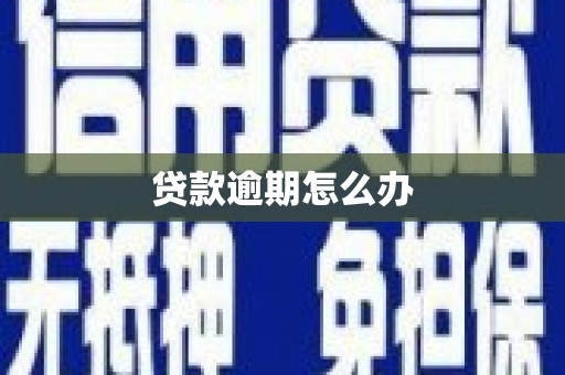 北屯贷款逾期怎么办